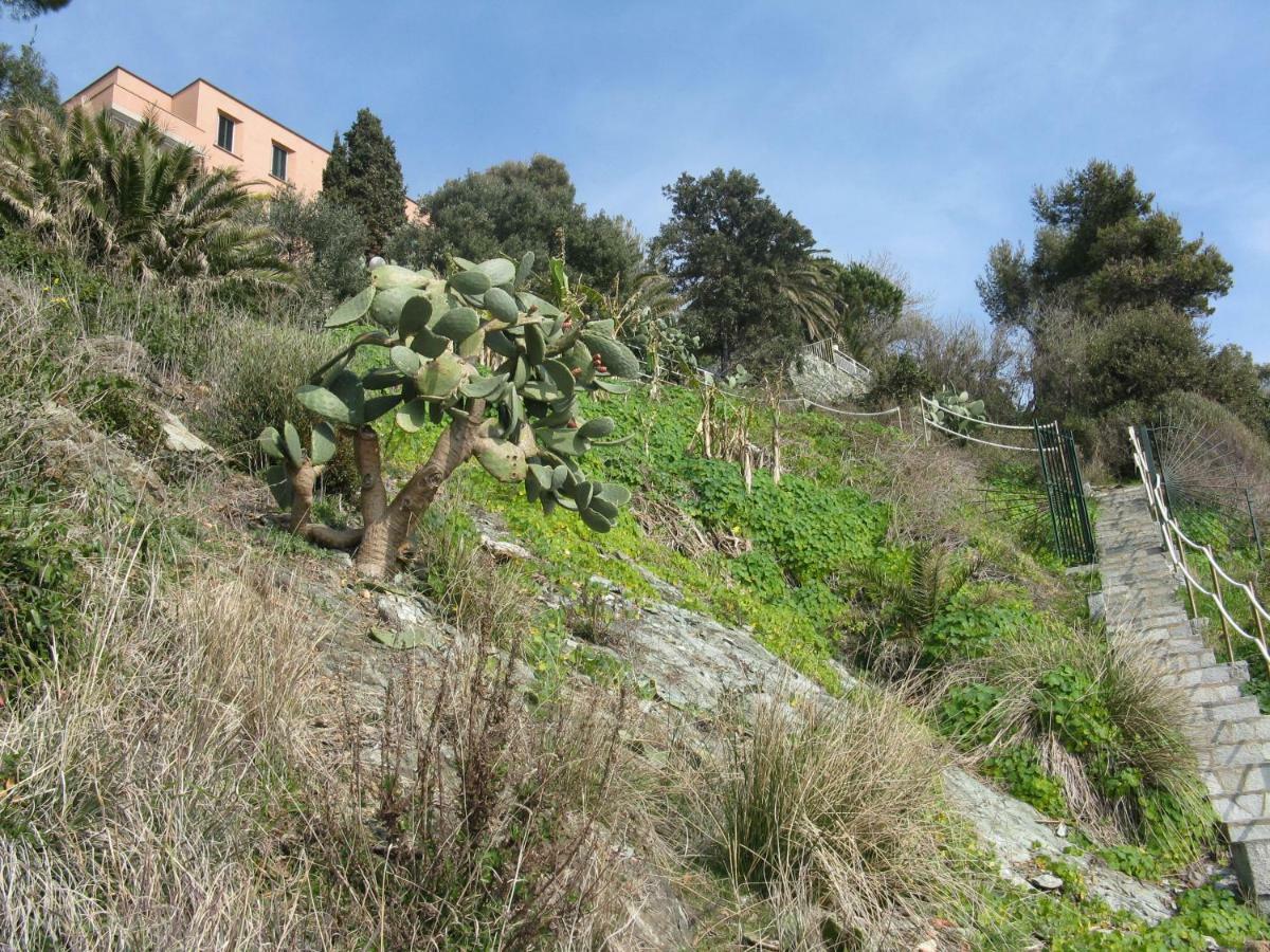 Appartement Casa Delle Mimose à Varazze Extérieur photo